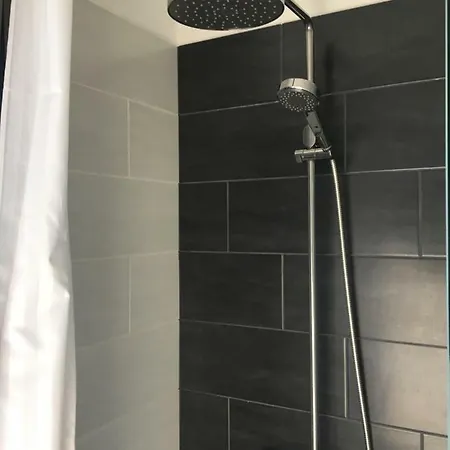 Penthouse Ivy 特罗吉尔