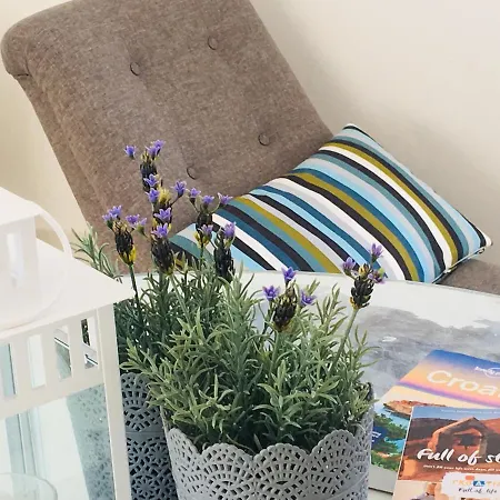 Penthouse Ivy * 特罗吉尔